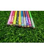 Ecosave Recycled Plantable Seed Pencil with Extra Dark NON Toxic Certified Lead (50 Pencils)