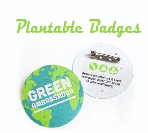 right-banner-02.jpg