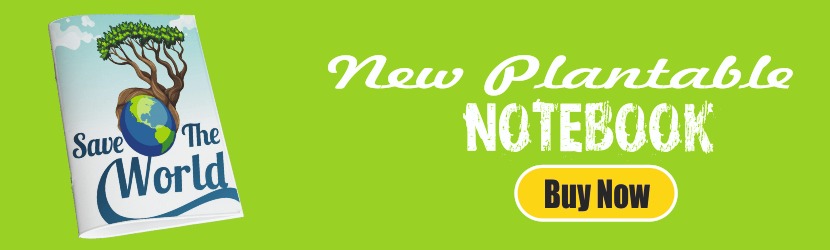 banner-01.jpg